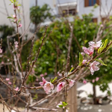 Naxos CityAmaranto Naxos公寓 外观 照片
