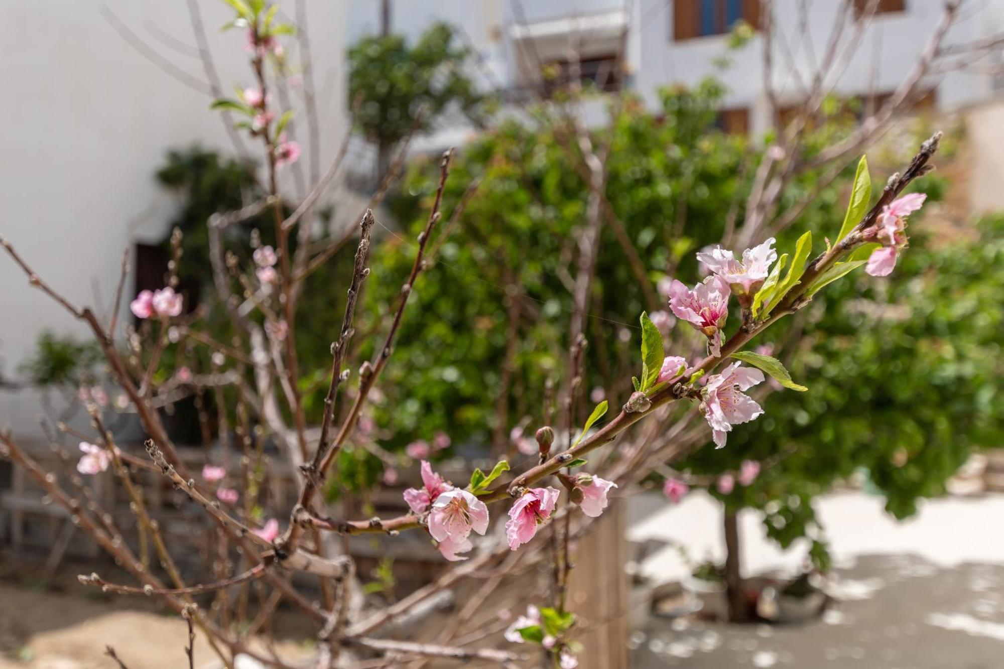 Naxos CityAmaranto Naxos公寓 外观 照片